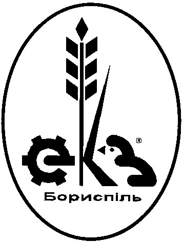 бориспіль