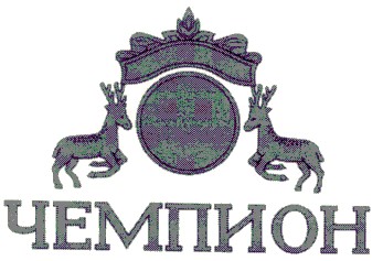 чемпион