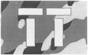 tt