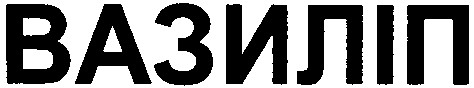 вазиліп