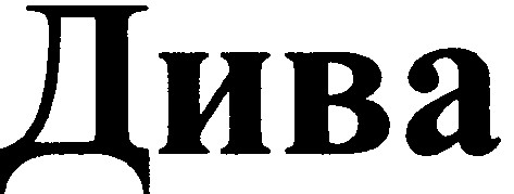 дива