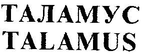 таламус