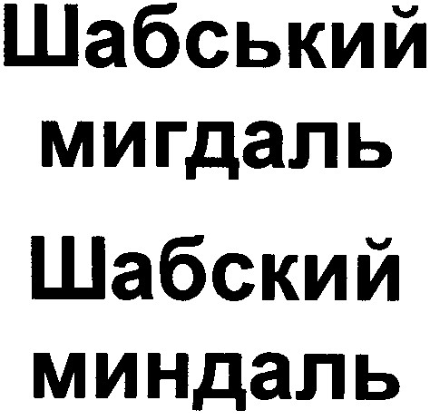шабський мигдаль