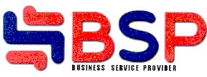 business service provider