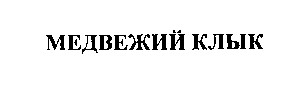 медвежий клык