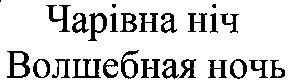 волшебная ночь