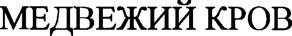 медвежий кров