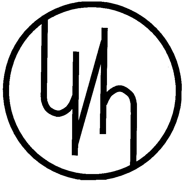 чип