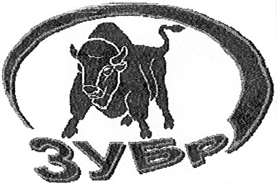 зубр