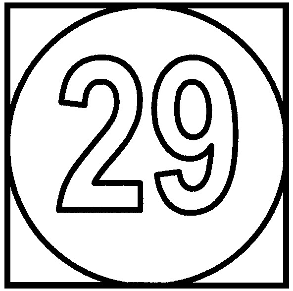 29