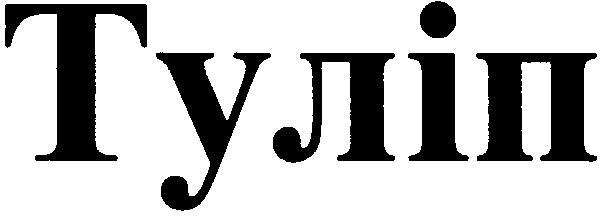 туліп