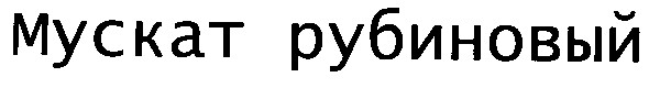 мускат рубиновый