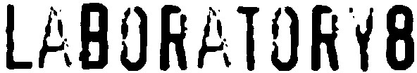 laboratory 8