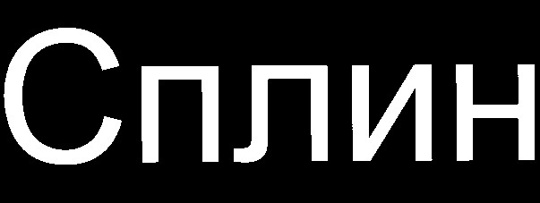 сплин