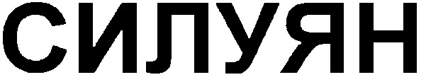 силуян