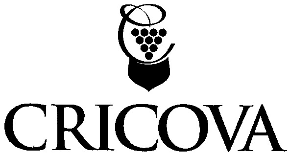 cricova