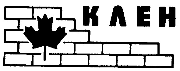 клен