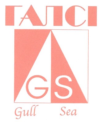 gull sea