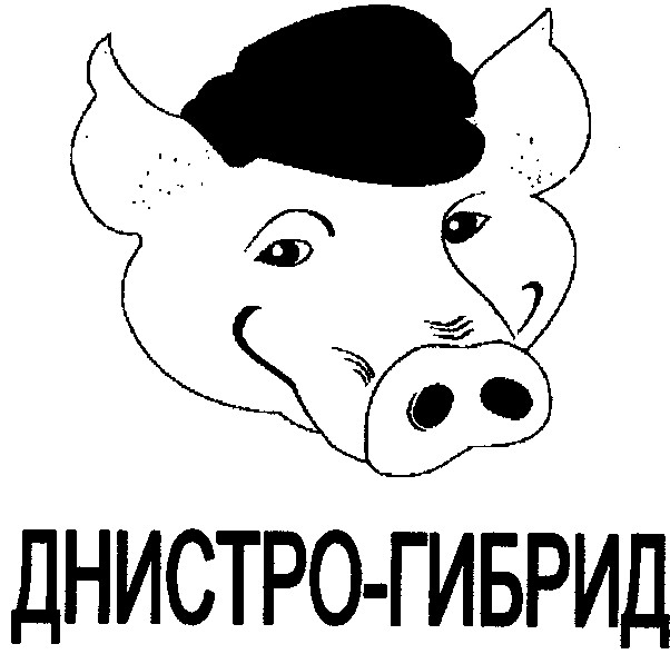 днистро-гибрид