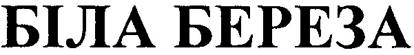 біла береза