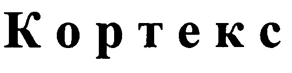 koptekc