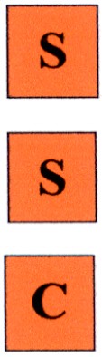 s s c