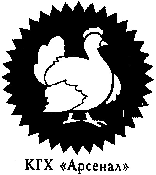 кгх арсенал