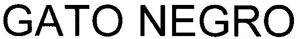 gato negro