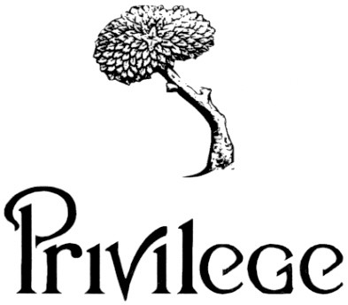 privilege