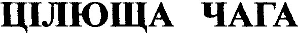цілюща чага