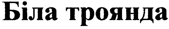 біла троянда