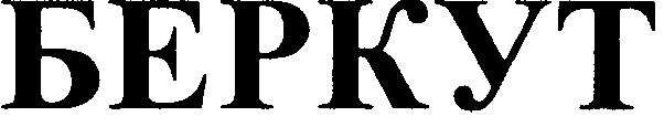 беркут