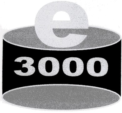 3000