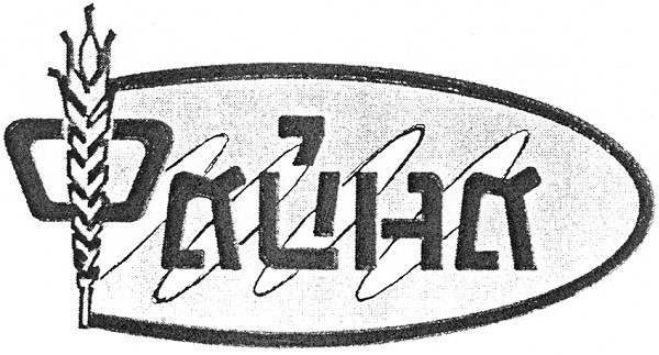 файна