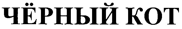 чёрный кот