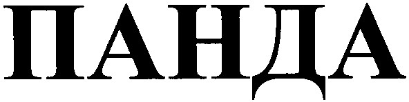 панда
