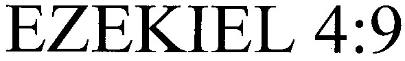 ezekiel 4 9