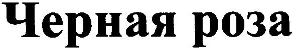 черная роза