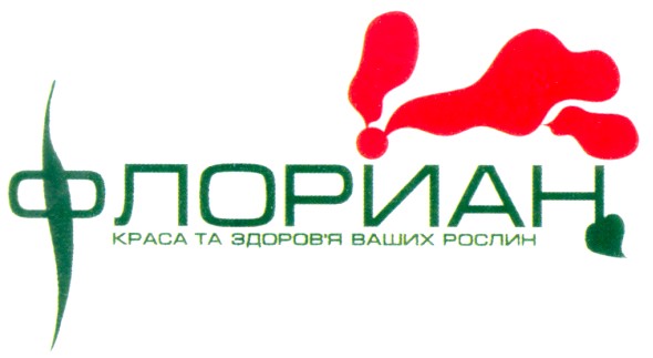 краса та здоров'я ваших рослин
