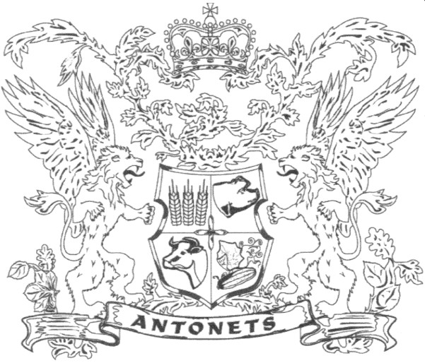 antonets