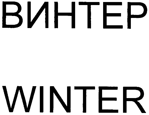 винтер