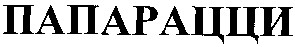 папарацци