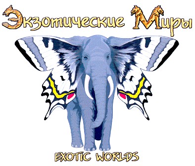 экзотические миры