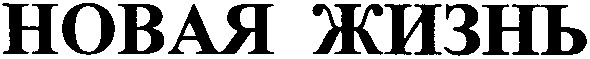 новая жизнь