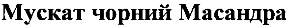 мускат чорний масандра
