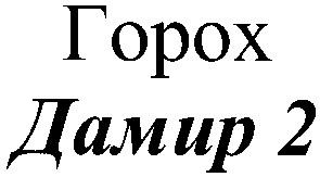 дамир 2