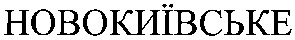 новокиївське