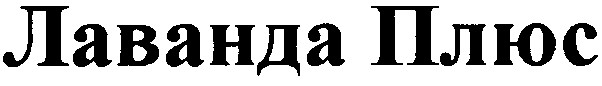 лаванда плюс