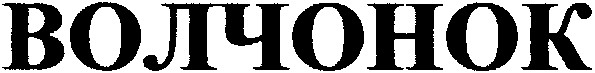 волчонок