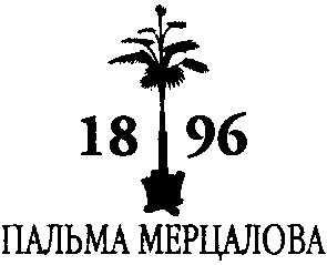 пальма мерцалова